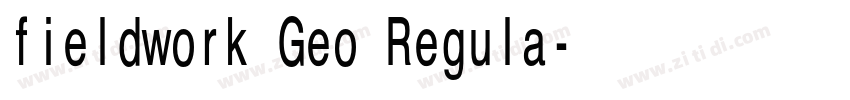 fieldwork Geo Regula字体转换